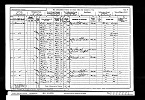 1901 Census Mary Hodgson