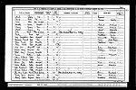 1901 Census May GA Scott
