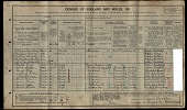 1911 Census - George Hoye