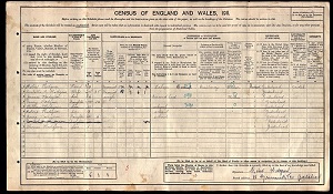 Mary Hodgson 1911 Census Return