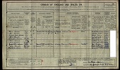 1911 Census - Thomas & Alice Adamson