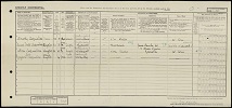 1921 Census - Annie Hall Ackinclose